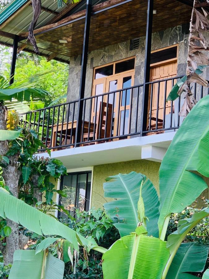 Rock View Cottage Ела Екстериор снимка