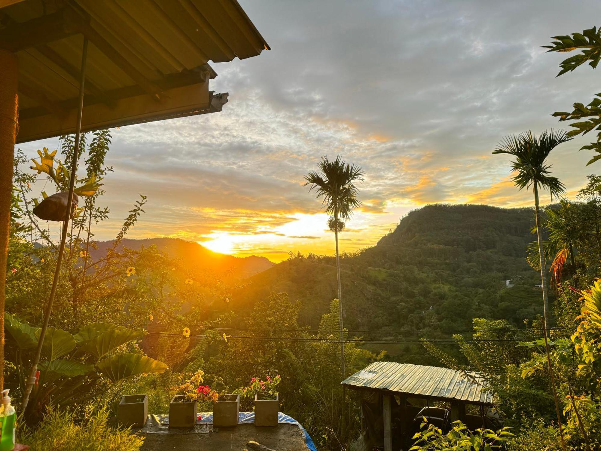 Rock View Cottage Ела Екстериор снимка